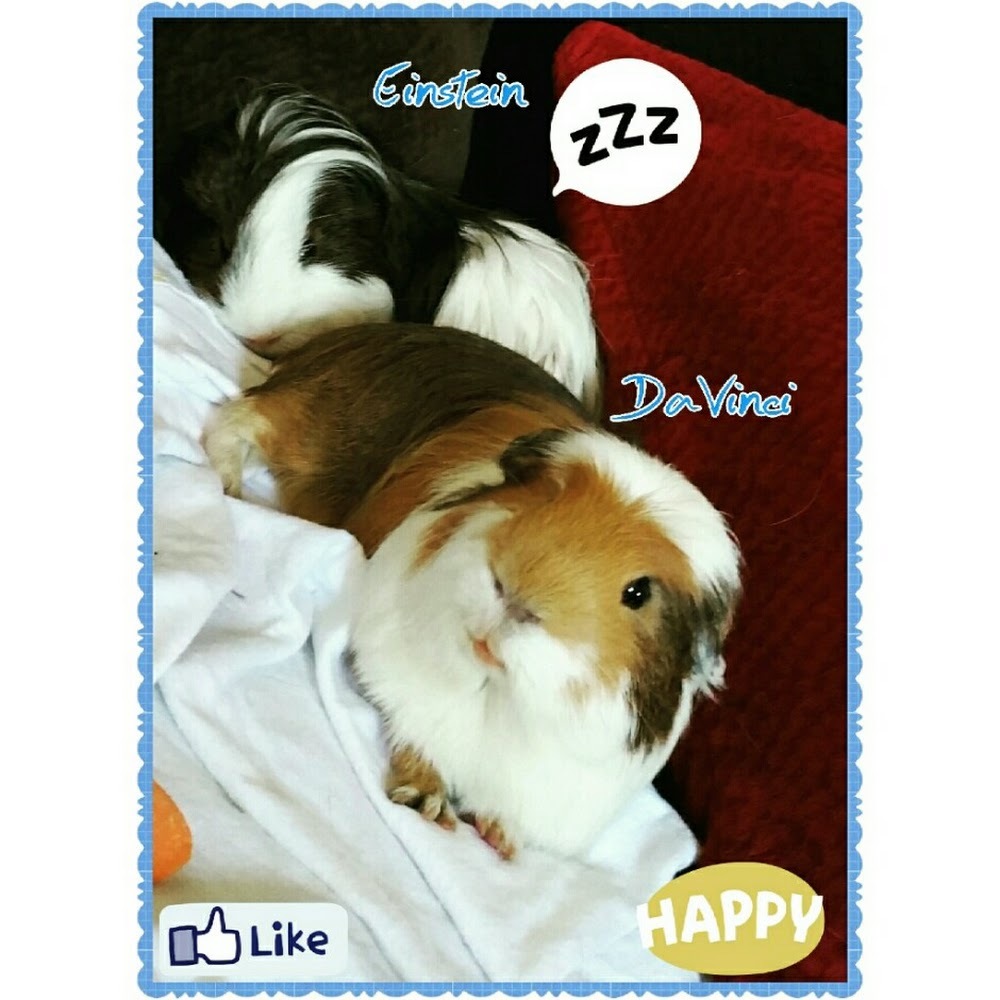 Meet your Posher, Ayda